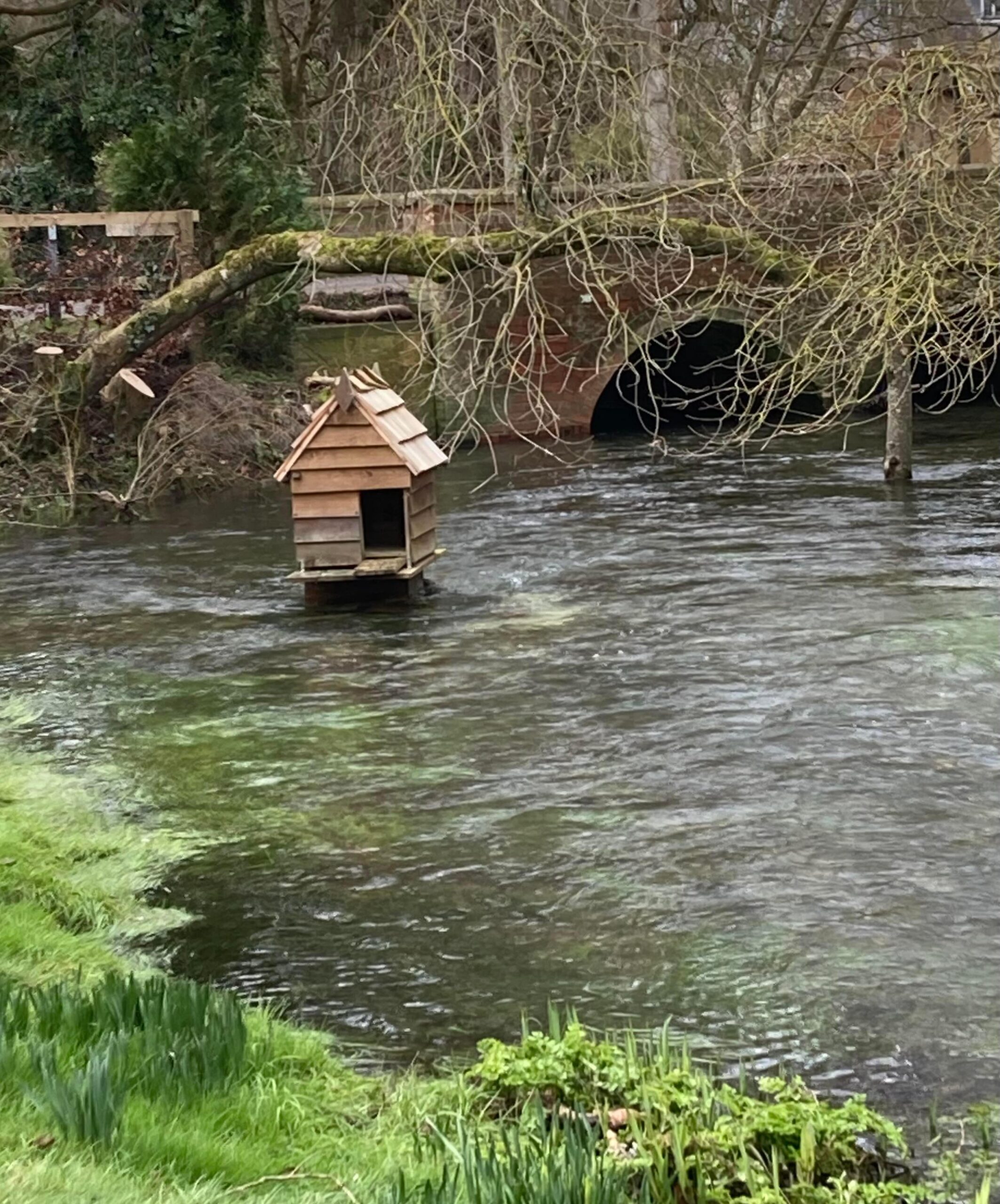Peter's duck house back in the river.